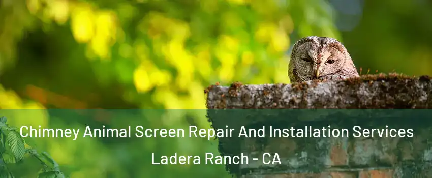  Chimney Animal Screen Repair And Installation Services Ladera Ranch - CA