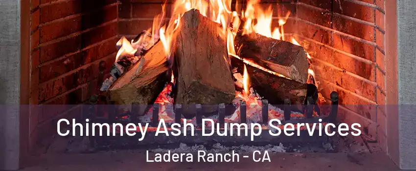  Chimney Ash Dump Services Ladera Ranch - CA