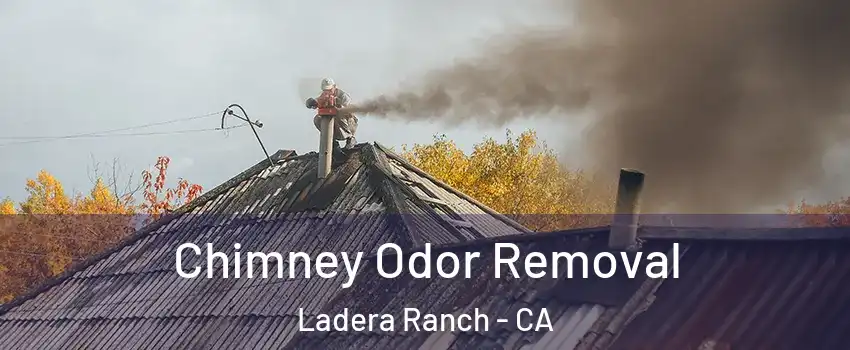  Chimney Odor Removal Ladera Ranch - CA