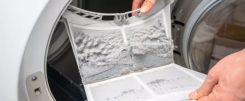 Best Dryer Lint Removal Company in Ladera Ranch, California