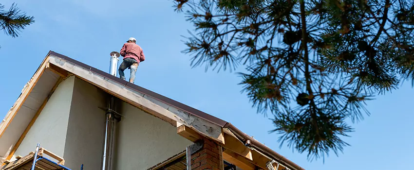 Birds Removal Contractors from Chimney in Ladera Ranch, CA