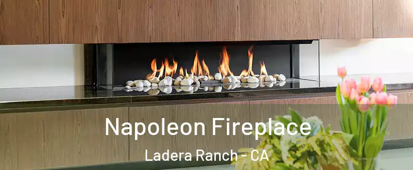  Napoleon Fireplace Ladera Ranch - CA